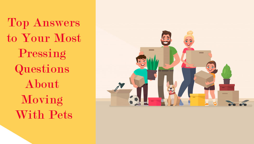 Top Answers to Your Most Pressing Questions About Moving With Pets Top Answers to Your Most Pressing Questions About Moving With Pets