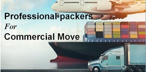 Professional Packers and Movers