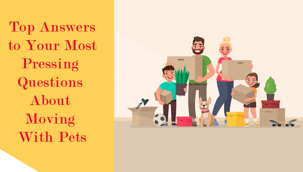 Top Answers to Your Most Pressing Questions About Moving With Pets